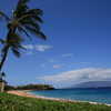 Previous: Palm trees, beach, ocean