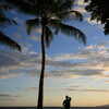 Previous: Palm tree sunset