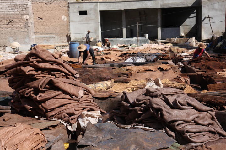 Leather tannery