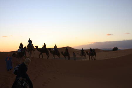 Photo: Camel trek
