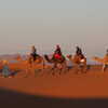 Previous: Camel trek