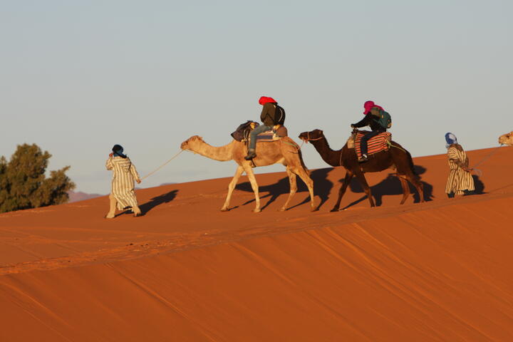 Camel trek