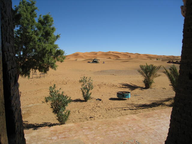 Dune view