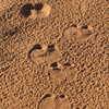 Photo: (keyword footprints)