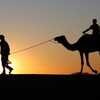 Previous: Camel silhouettes