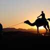 Photo: (keyword camels)
