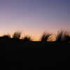Photo: Grass sunset