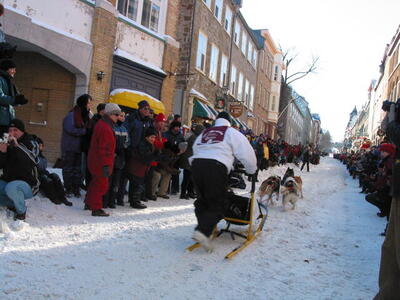 Photo: Dogsled race