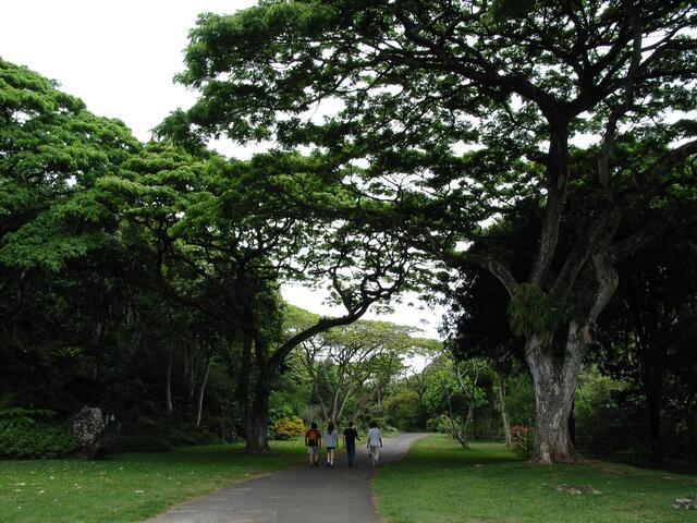 Park path