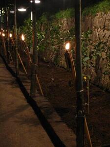 Photo: Torches
