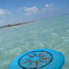 Photo: Frisbee in the water