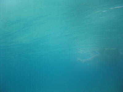 Photo: Snorkelling