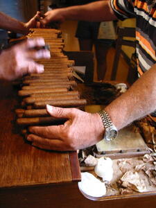 Photo: Counting cigars