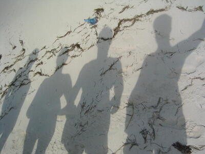 Photo: Beach shadows