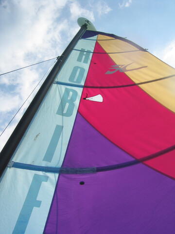 Hobie cat sail