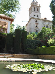 Photo: Pond in Alhambra