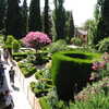 Photo: Garden in Alhambra