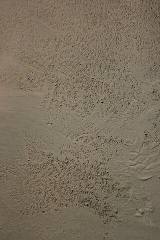 Crab marks in sand