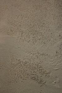 Photo: Crab marks in sand
