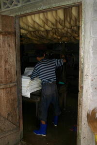 Photo: Processing rubber