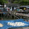 Photo: Drying fish, Ko Pan Yi