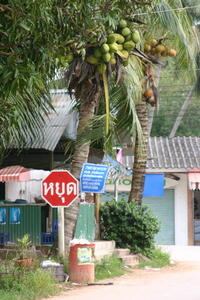 Photo: Thai stop sign