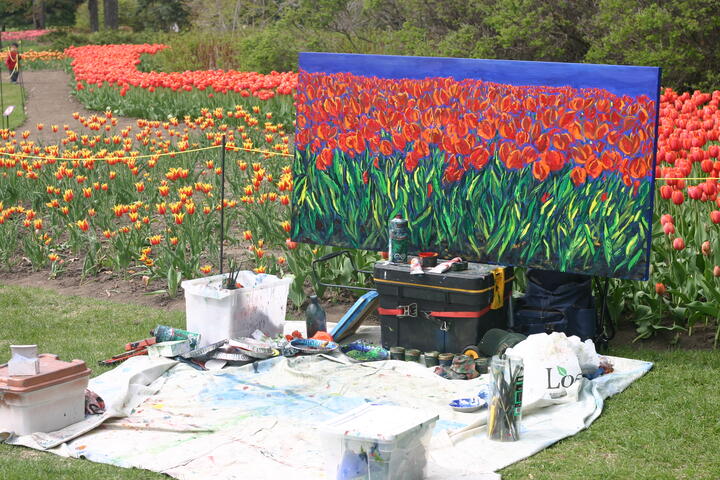 Canadian Tulip Festival