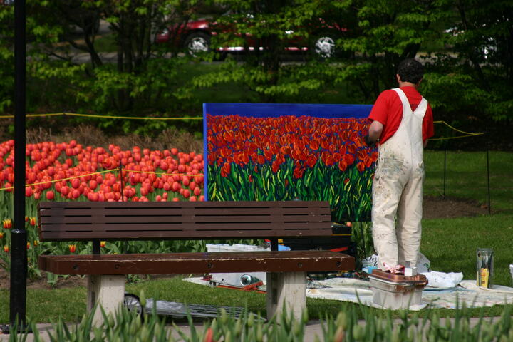 Canadian Tulip Festival