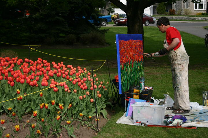 Canadian Tulip Festival