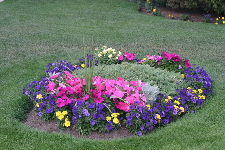 Front lawn flowerbed