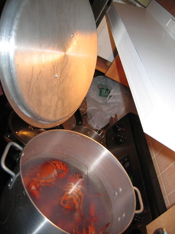 Lobsters cooking