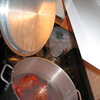 Photo: Lobsters cooking