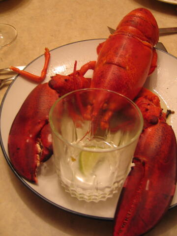 Lobster with G+T