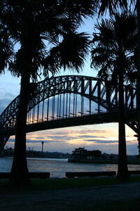 Photo: Harbour Bridge and palm trees