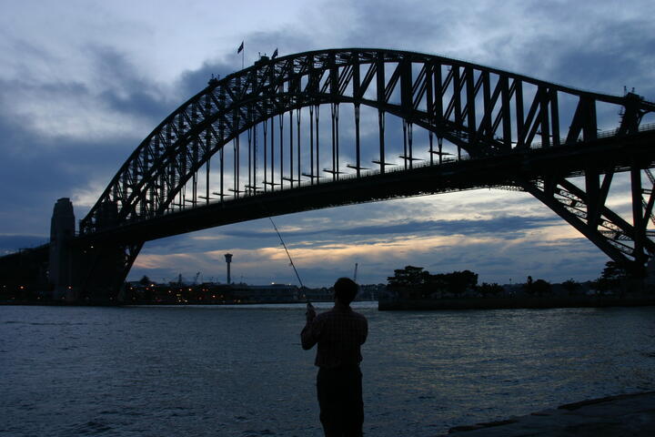 Fisherman and Harbour Bridge 