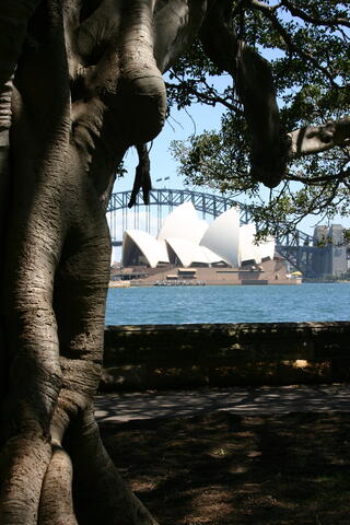Sydney Opera House and Harbour Bridge 