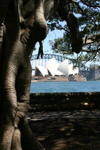 Photo: Sydney Opera House and Harbour Bridge 