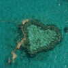 Photo: Heart shaped reef