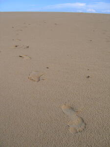 Photo: Footprints