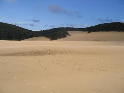 Photo: Fraser Island