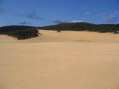 Photo: Fraser Island