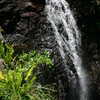Photo: Waterfall