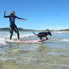 Photo: Surfing dog