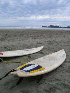 Photo: Surfboards
