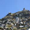 Photo: Climbing Peak #1