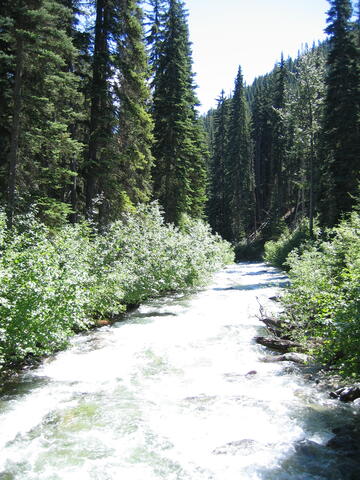 Stein Valley