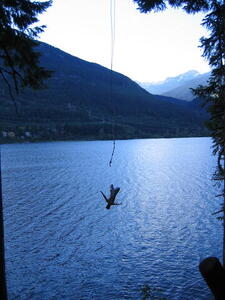 Photo: Rope swing