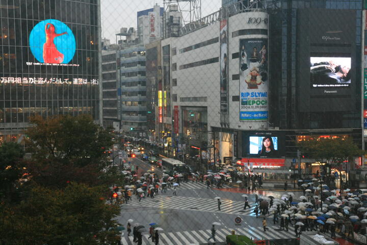 Shibuya in the rain