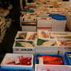 Previous: Tsukiji fish market