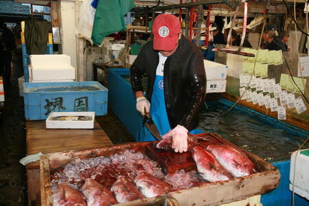 Photo: Cutting fish